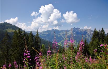 Grossarltal: 3-day hike from Weissalm to Gerstreitalm