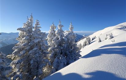 Panorama Schneeschuhweg