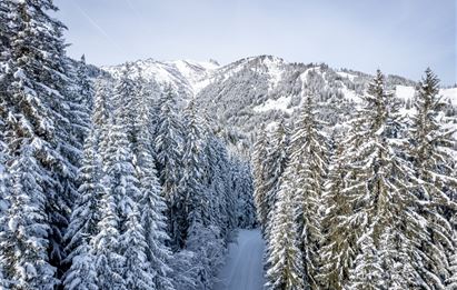 Grossarl: Winter hiking and tobogganing fun at the Hotel Lammwirt