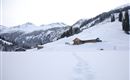 Hubalm im Winter