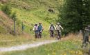 Mountainbike fahren im Großarltal
