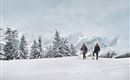 Schneeschuhwandern im Großarltal