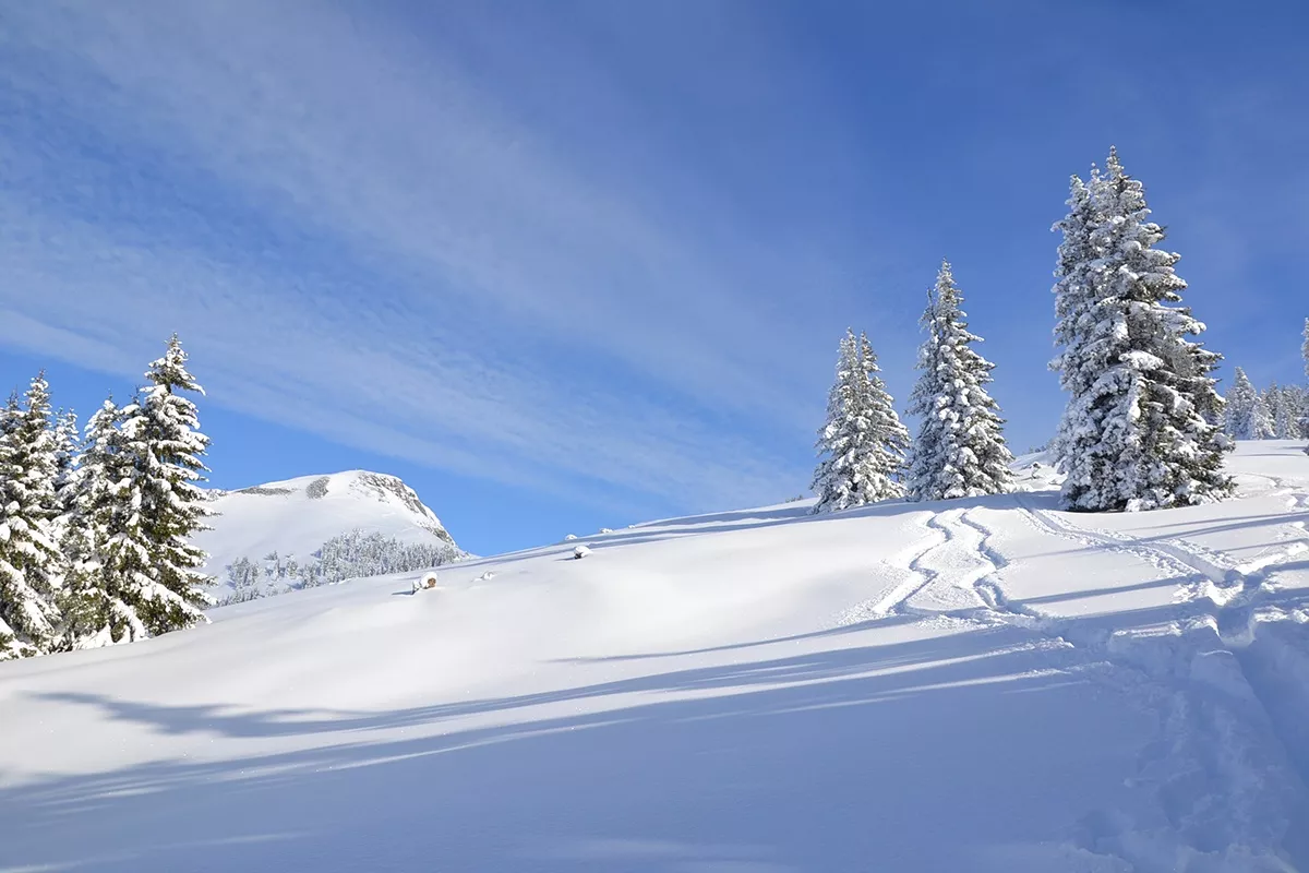 Großarl: Kitzstein (Gabel), 2.037 m