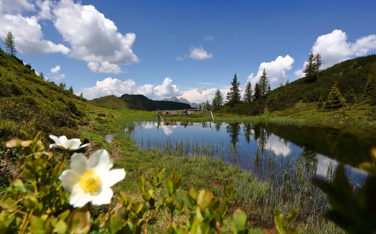 Großarl: 2-Tages-Wanderung durch das Ellmautal