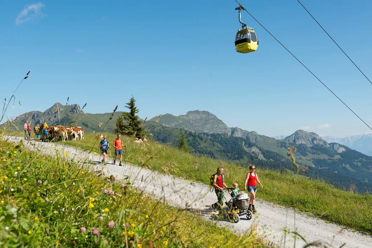 Großarl: Kreuzkogel Kinderwagen-Gipfelsieg