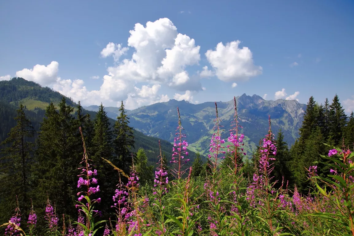 Großarltal: 3-Tages-Wanderung Weißalm bis Gerstreitalm